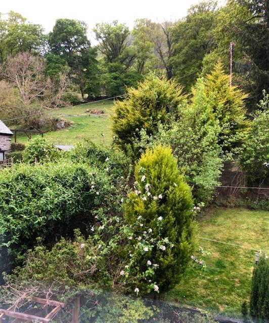 Afon View Hotel Betws-y-Coed Ngoại thất bức ảnh